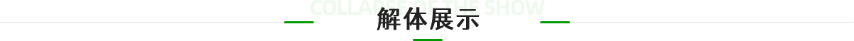 解体展示